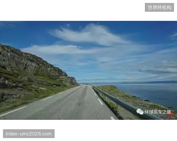 挪威后防线存年轻化隐患，大赛经验或成球队最短木板。